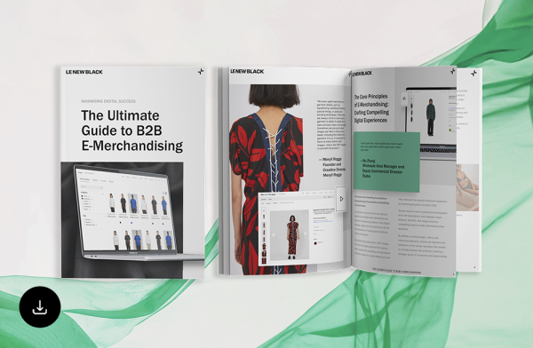 The Ultimate Guide to B2B E-Merchandising
